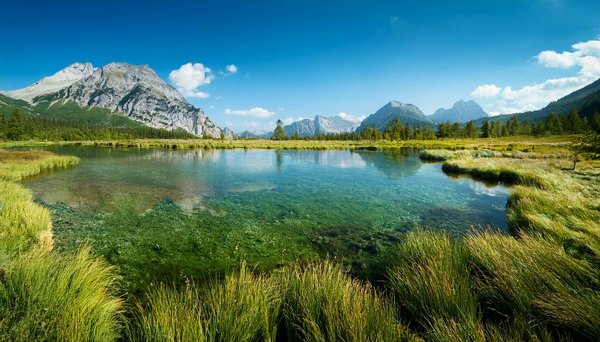 Les bateaux à moteur Bénéteau : guide complet et modèles phares